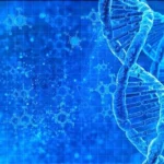 Advantage USA and Portugal in Race for Final Place in France