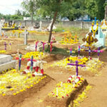 Pope Leo XIV Calls Educators to ‘Shine Like Stars in the World’