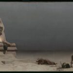 Mary, Mother of God: The Silence in Which God Spoke